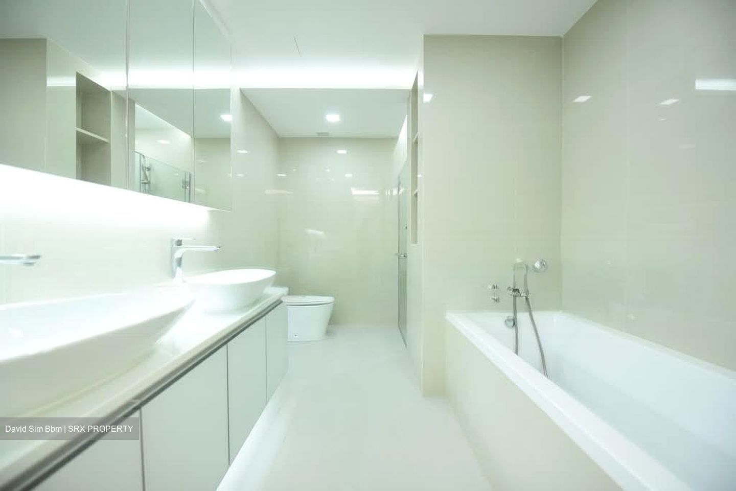 Nassim Jade (D10), Condominium #539696881